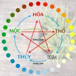 Top 10 website xem bói tử vi phong thủy nổi tiếng nhất