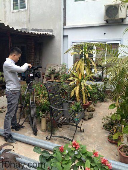 phong-vien-den-tham-cayhoa