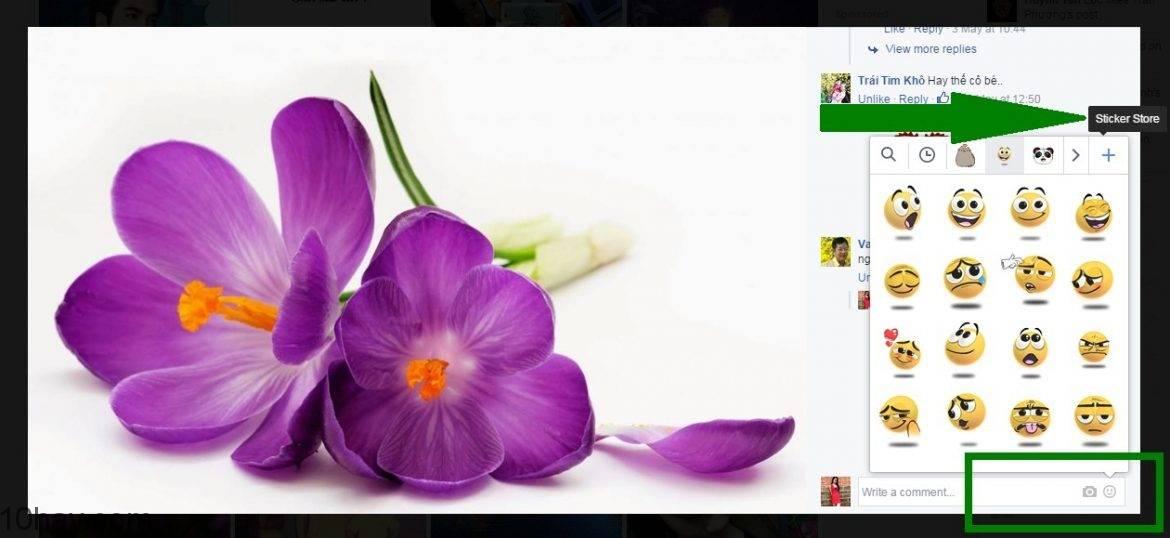 Comment với biểu tượng đặc biệt