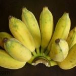 món ngon từ chuối xiêm