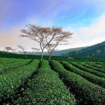 10 địa điểm chụp hình