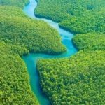 Những điều bí ẩn trong rừng Amazon