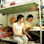 giáo viên chuyên LTĐH