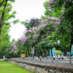 10 con đường đẹp nhất Hà Nội