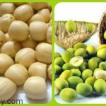 Món ăn từ hạt sen