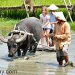 ý tưởng kinh doanh độc đáo