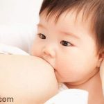 Thực phẩm có lợi cho sữa mẹ