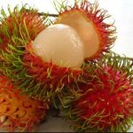 lợi ích của chôm chôm