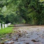 địa điểm tránh nóng