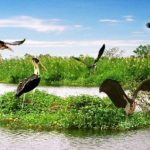 khu du lịch sinh thái miền Tây