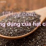 công dụng của hạt chia