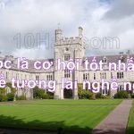 quyết định đi du học