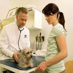 phòng khám thú y ở Đà Nẵng