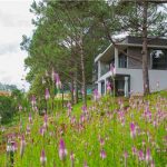 khách sạn biệt thự Đà Lạt