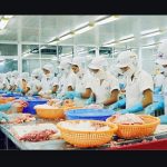 công ty chế biến xuất khẩu thủy sản