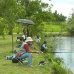 địa điểm câu cá tự nhiên