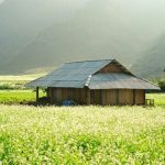 địa điểm du lịch nổi tiếng