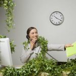 thuê cây xanh văn phòng ở TPHCM