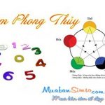 sim số đẹp phong thủy