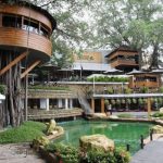 quán cafe độc đáo ở Sài Gòn