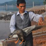 tấm gương làm giàu từ chăn nuôi