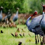 địa điểm du lịch miền Tây