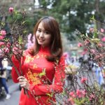 chợ hoa Tết Nguyên Đán 2017