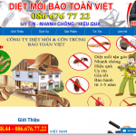 Top 5 dịch vụ diệt côn trùng, diệt muối, diệt mối tại nhà ở TPHCM