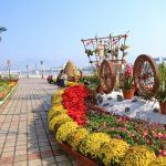 Top 10 trang xem dự báo thời tiết thế giới