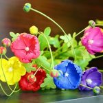 Đừng hỏi hoa đất sét giá bao nhiêu - nghệ thuật là vô giá