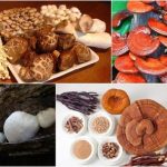 địa chỉ mua nấm linh chi ở TPHCM