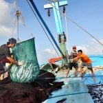 Top 10 nghề nguy hiểm nhất Việt Nam hiện nay