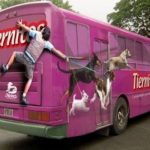 quảng cáo trên xe buýt tại Hà Nội