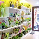 cửa hàng hoa đất sét nổi tiếng ở Hà Nội