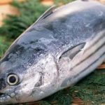 loài cá ngon của Việt Nam