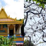 địa điểm du lịch nổi tiếng tại Sóc Trăng