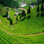 Địa điểm du lịch nổi tiếng tại Thái Nguyên