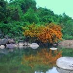 con suối đẹp nhất ở Việt Nam