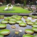 địa điểm du lịch nổi tiếng tại Đồng Tháp