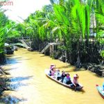 địa điểm du lịch nổi tiếng tại Bến Tre