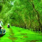 địa điểm du lịch nổi tiếng tại Tây Nam Bộ