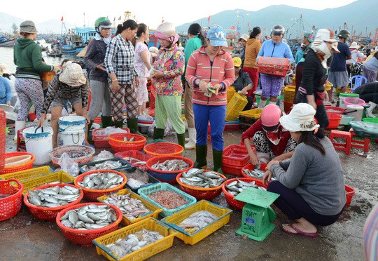 Chợ đầu mối hải sản lớn nhất Đà Nẵng