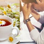 Top 10 thực phẩm giúp giảm stress hiệu quả nhất