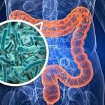 10-thuc-pham-tang-cuong-he-mien-dich