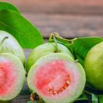 10 công dụng của quả ổi và lá ổi có thể bạn chưa biết