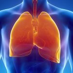 10 cách giúp phổi khỏe mạnh bạn nên áp dụng ngay