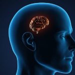 Top 10 thực phẩm ăn nhiều gây teo não và ảnh hưởng đến sức khỏe