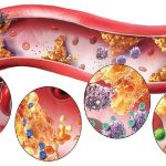 Top 10 thực phẩm thanh lọc máu siêu hiệu quả